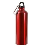 25 oz Aluminum Alpine Bottle LWMG970